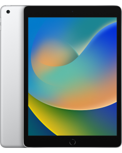 iPad 9 WIFI 10.2'' (2021) 256 GB Argento No Brand ITA - MK2P3TY/A