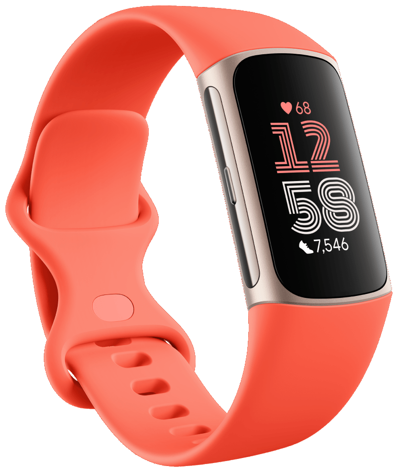 Google Fitbit Google Fitbit Charge 6 Coral EUROPA